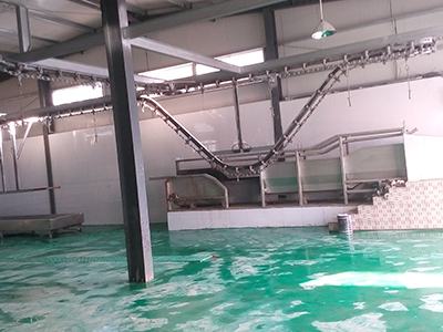 放血自動(dòng)線(xiàn)